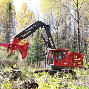 Feller Bunchers Eltec FBL317